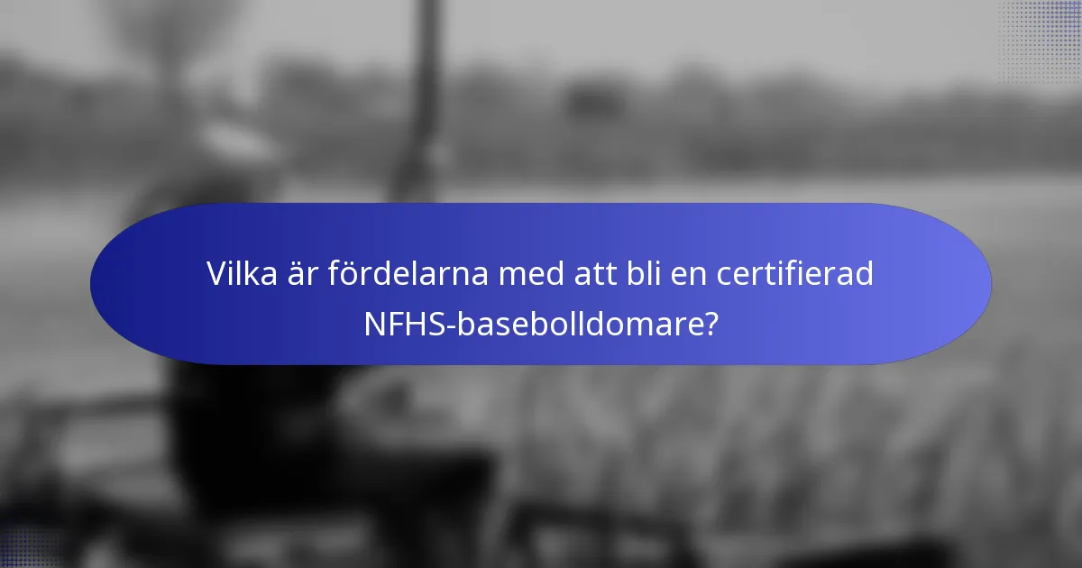 Vilka är fördelarna med att bli en certifierad NFHS-basebolldomare?